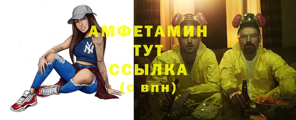 мдпв Верея