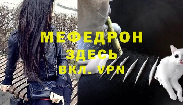 прущий лед Вяземский