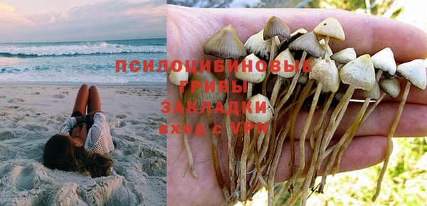 бошки Вязники