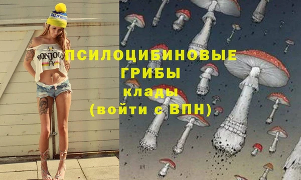круглые Горно-Алтайск