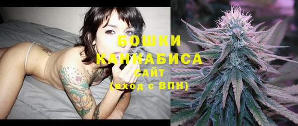 прущий лед Вяземский